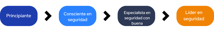 Security Maturity Levels - ES.png