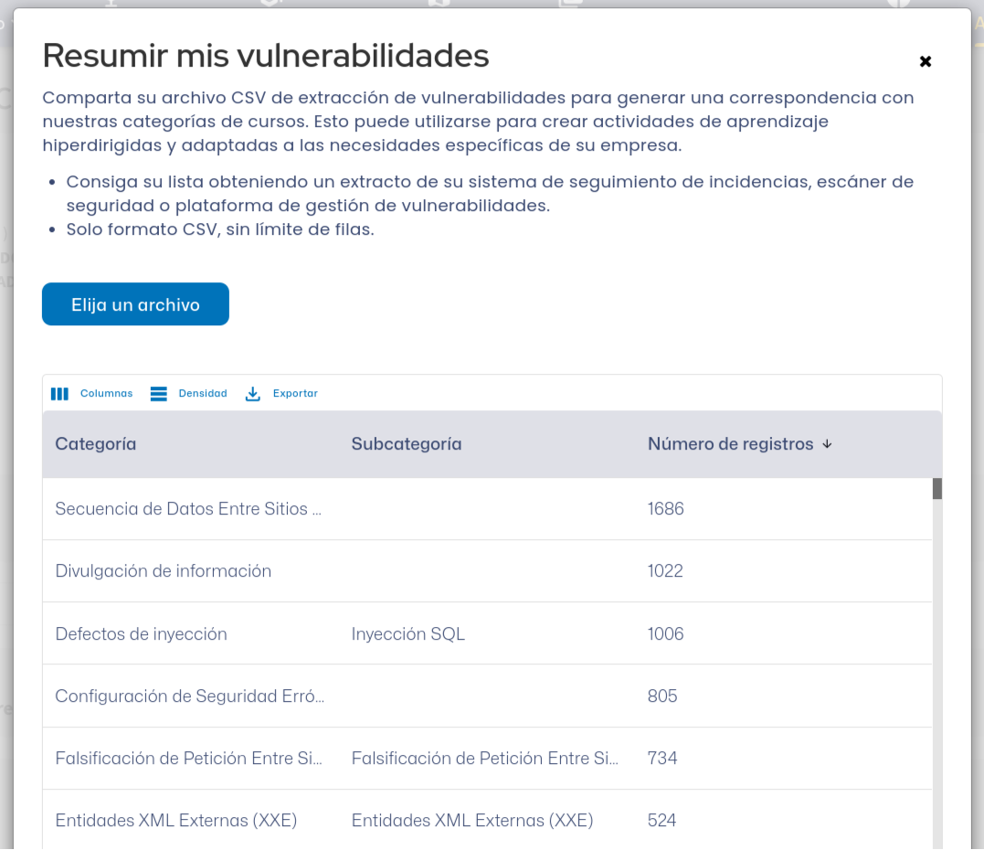 Vuln Summary-ES.png