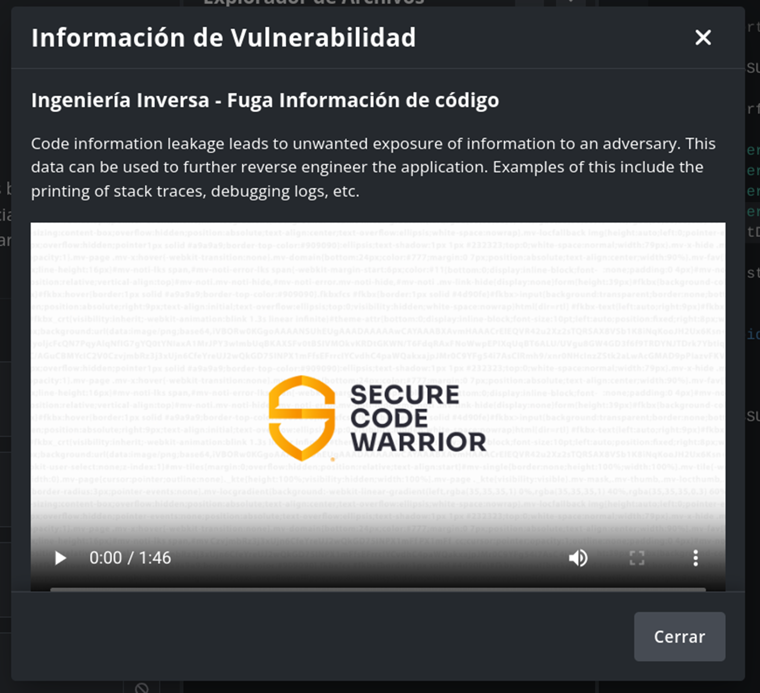 Identify Vuln Video  Hint - ES.png