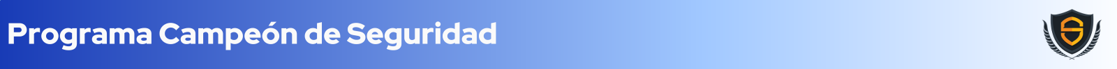 Security Champ - ES (1).png