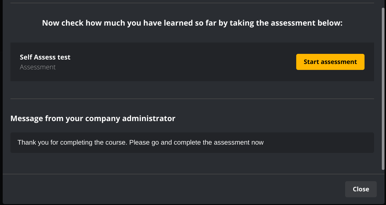 What_will_the_developers_see_Assessment.png